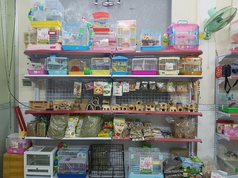 Pet shop Hà Nội 8