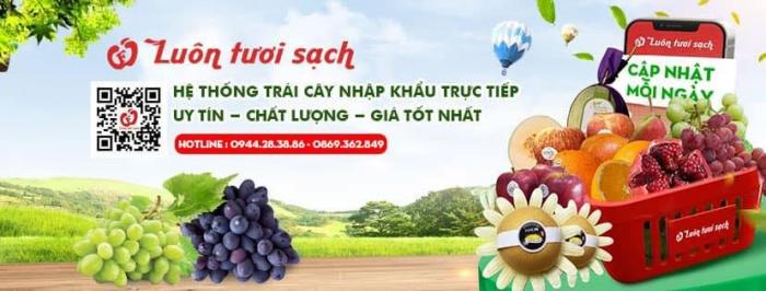 hoa-qua-sach-ha-noi-2