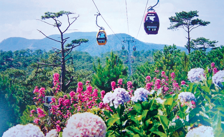 Top 15 vườn hoa Đà Lạt đẹp rực rỡ bốn mùa nên ghé thăm  Review Villa