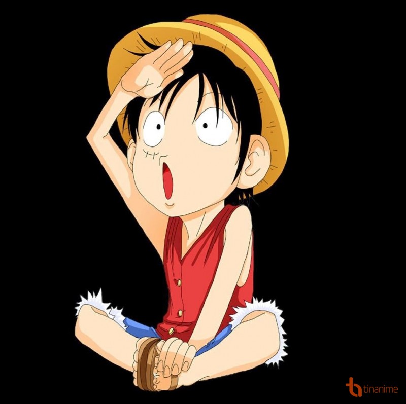 One Piece Tình anh em của Luffy và những mối quan hệ để lại ấn tượng sâu  sắc trong lòng fan
