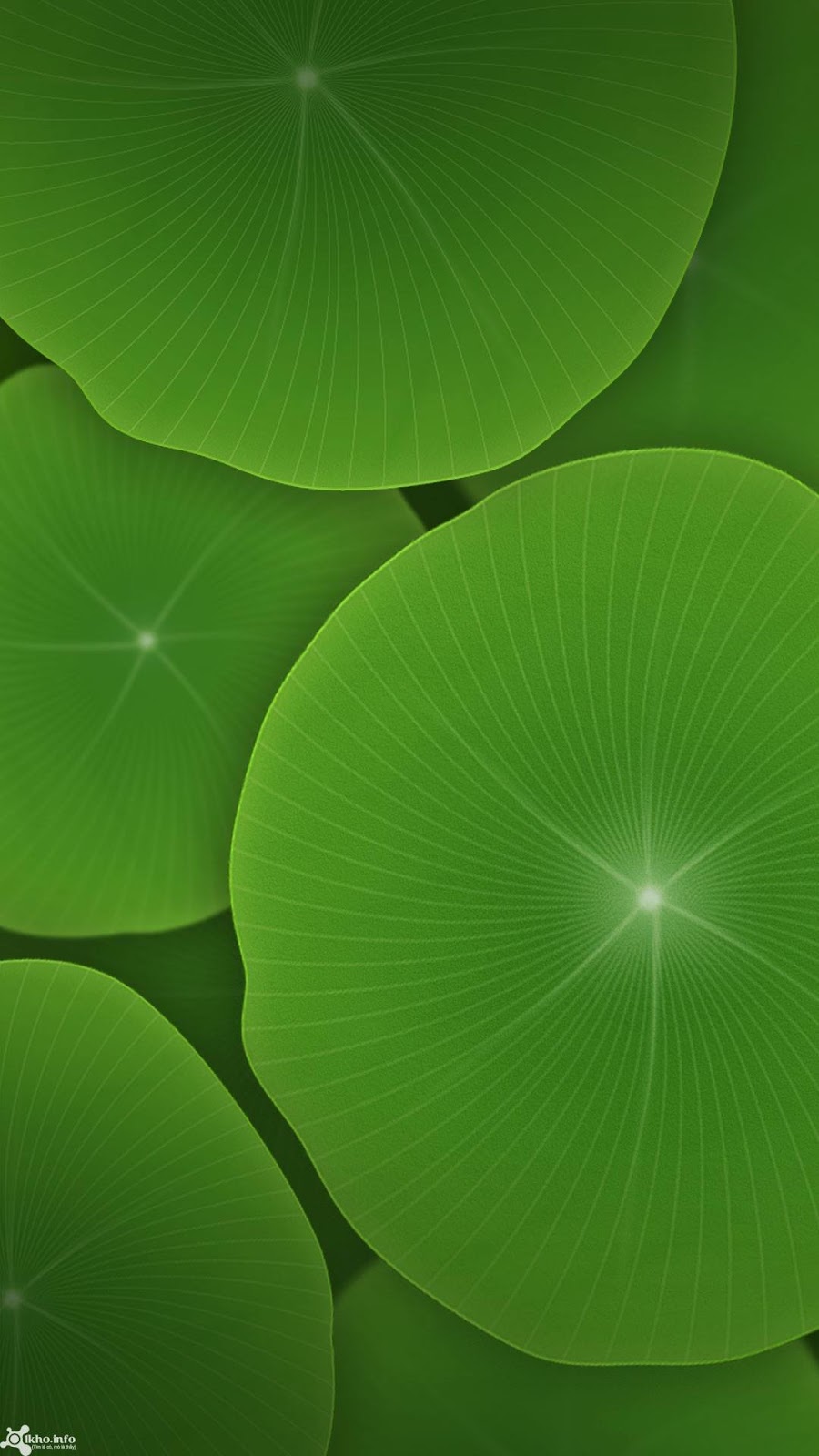 Top hơn 62 về hình nền xanh lá cây nhạt hay nhất - cdgdbentre.edu.vn