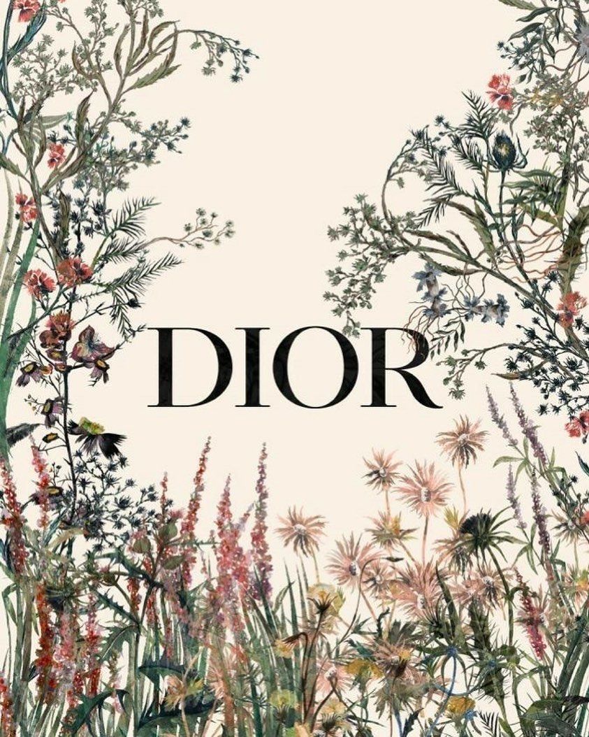 Tổng quan về thương hiệu Dior  Tham khảo ngay trong bài