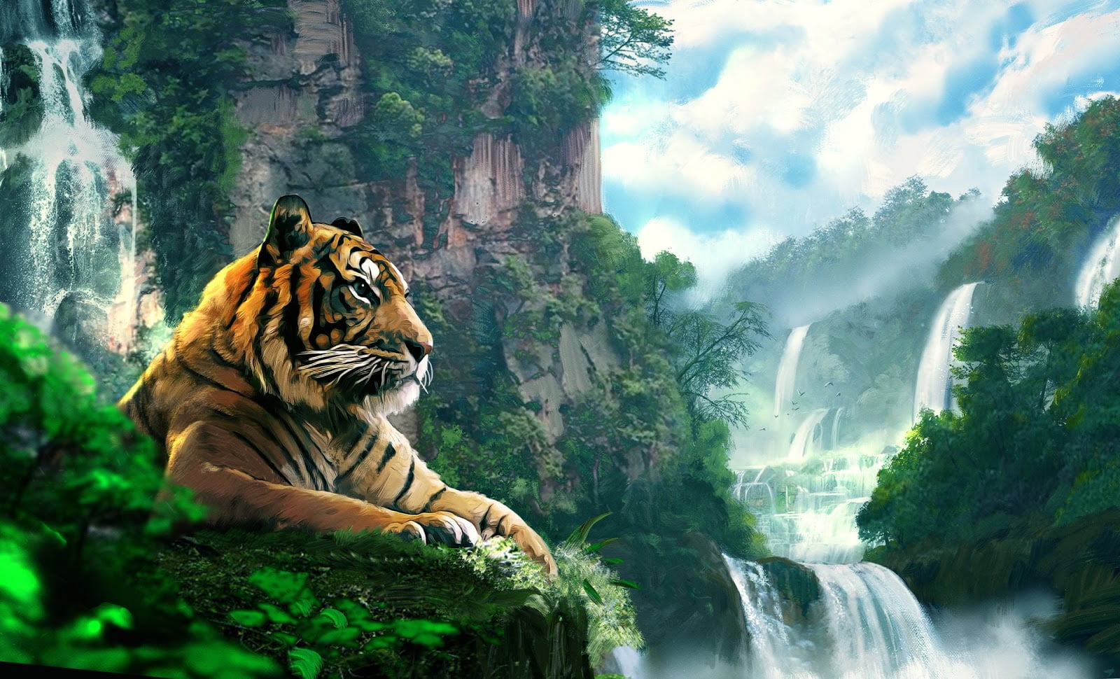 hình nền điện thoại đẹp con hổ  Tiger images Tiger wallpaper Animal  wallpaper